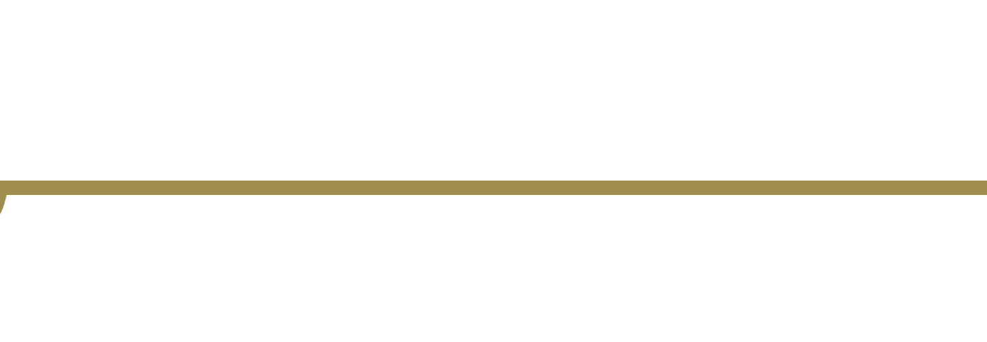 Meson San Vicente - Desde 1971