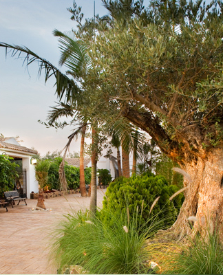 Terraza Nazaret